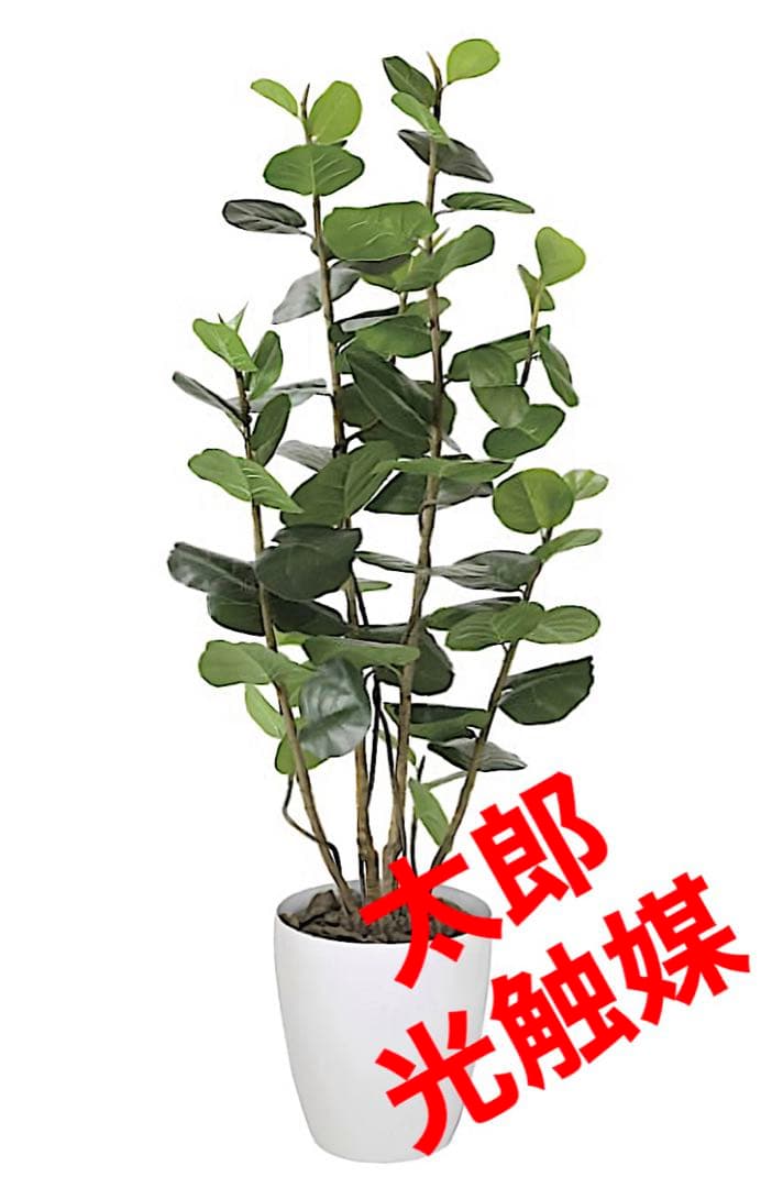 光触媒　人工観葉植物　ウォールグリーン　フェイクグリーン　シーグレープ17