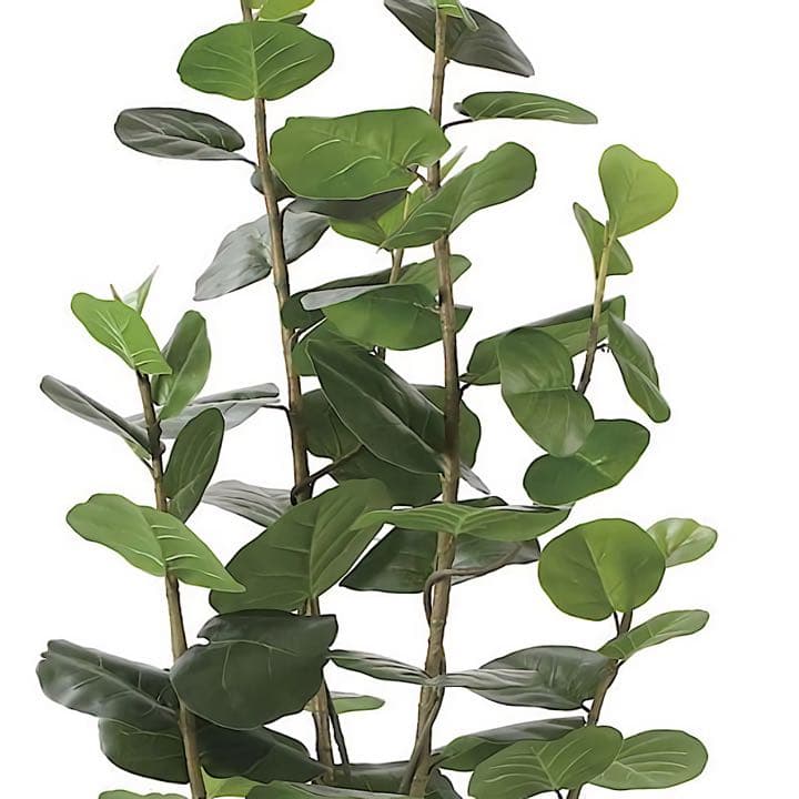 光触媒　人工観葉植物　ウォールグリーン　フェイクグリーン　シーグレープ17