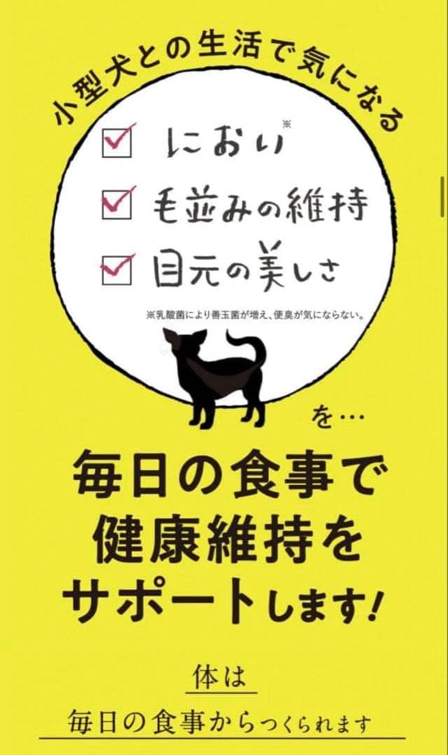 このこのごはん 1kg×2袋　＋チュールのおまけ