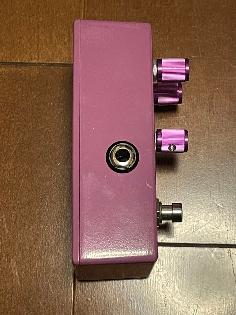 ギター Wren and Cuff Garbage Face Jr J mascis