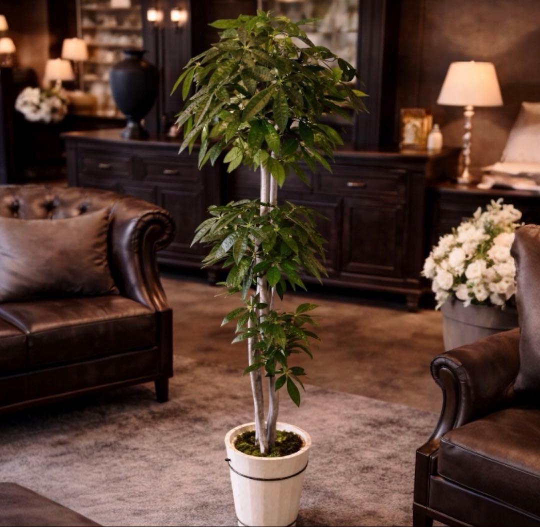 光触媒　人工観葉植物　ウォールグリーン　フェイクグリーン　パキラ特大@gja