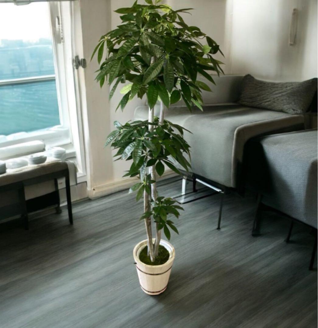 光触媒　人工観葉植物　ウォールグリーン　フェイクグリーン　パキラ特大@gja