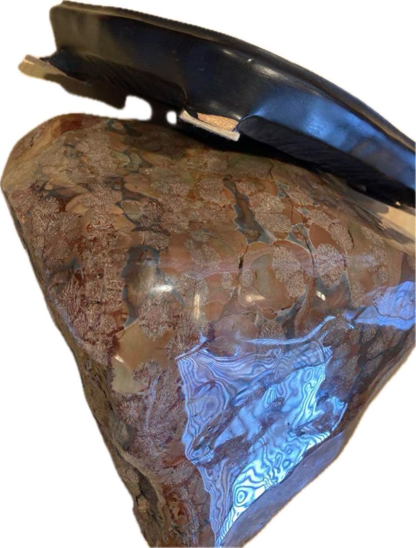 鑑賞用の石・室内飾り『白山紋石や飛騨の菊紋石』約9.7kg