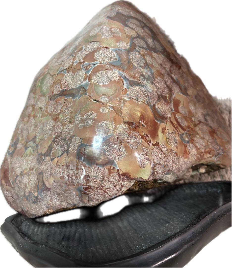 鑑賞用の石・室内飾り『白山紋石や飛騨の菊紋石』約9.7kg