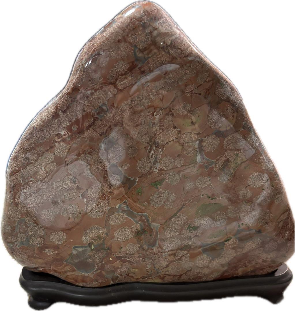 鑑賞用の石・室内飾り『白山紋石や飛騨の菊紋石』約9.7kg