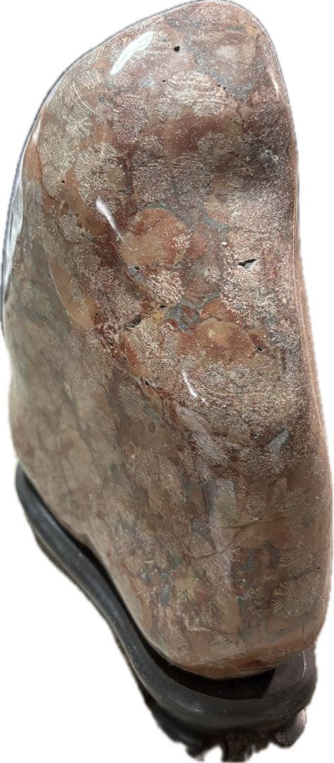 鑑賞用の石・室内飾り『白山紋石や飛騨の菊紋石』約9.7kg