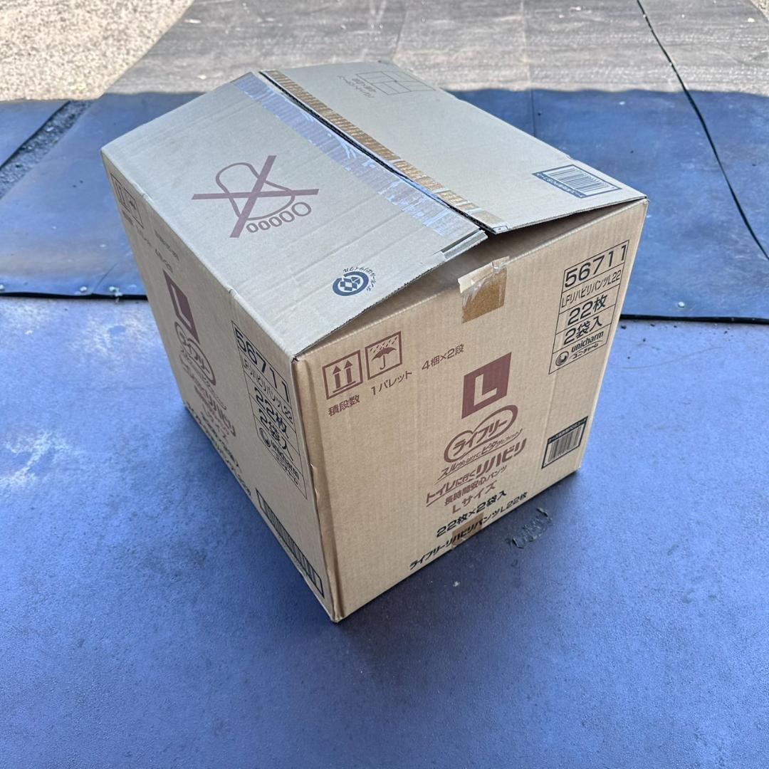 ＊kinoko＊　Ｌサイズ2ケース22×4大人用紙おむつ リハビリパンツ