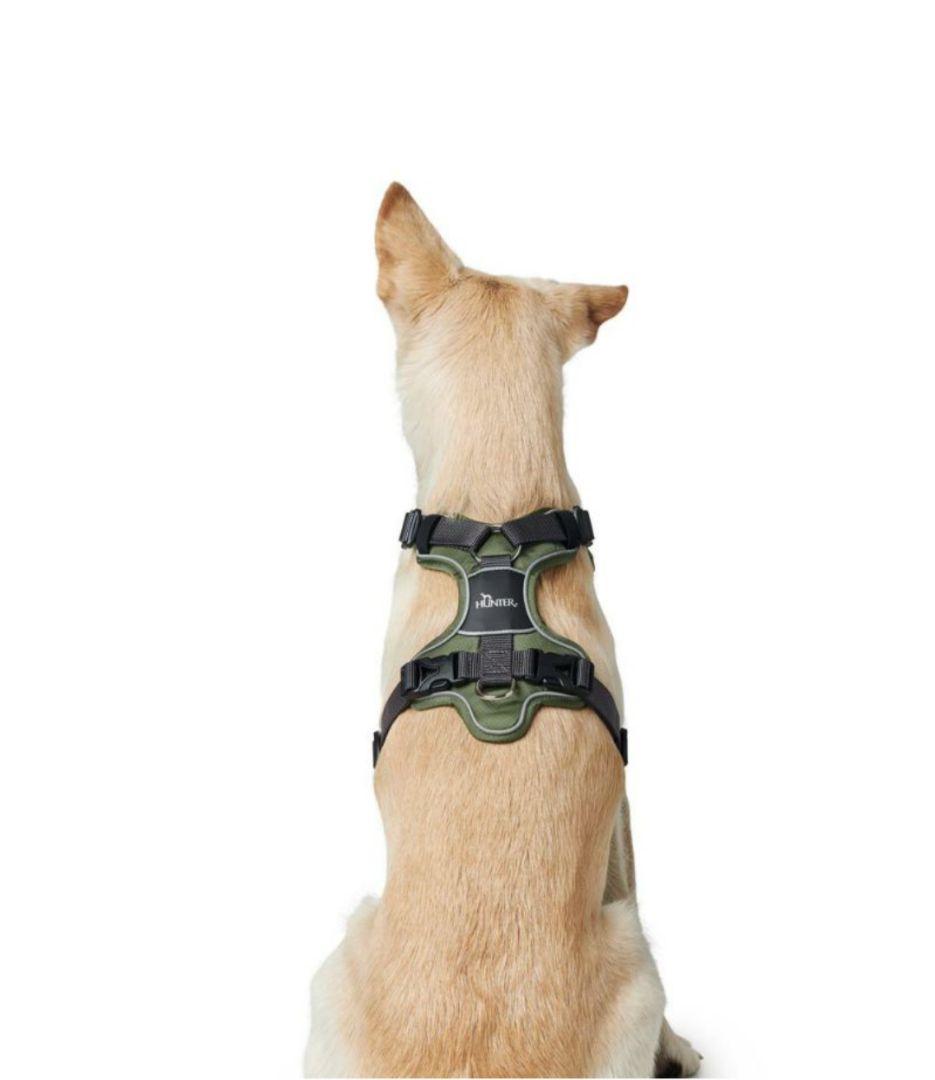 HUNTER メッシュハーネス Sサイズ