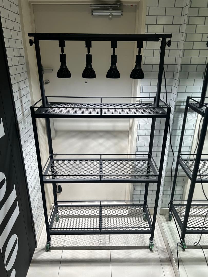 植物棚　アイアン棚　伸縮ライトレール　パキプス　アイアンシェルフ　アガベ