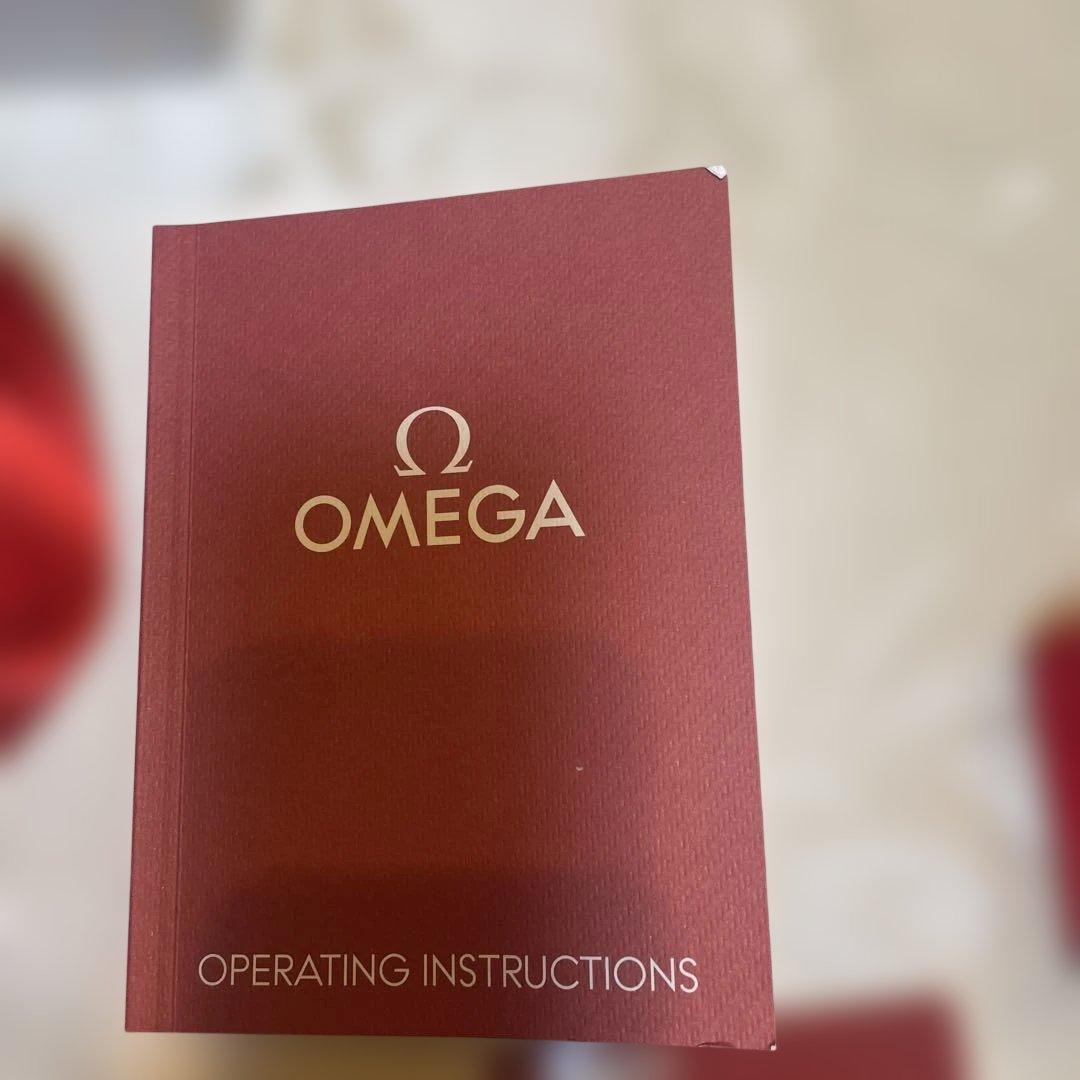 シルバー ステンレススチール クォーツ腕時計