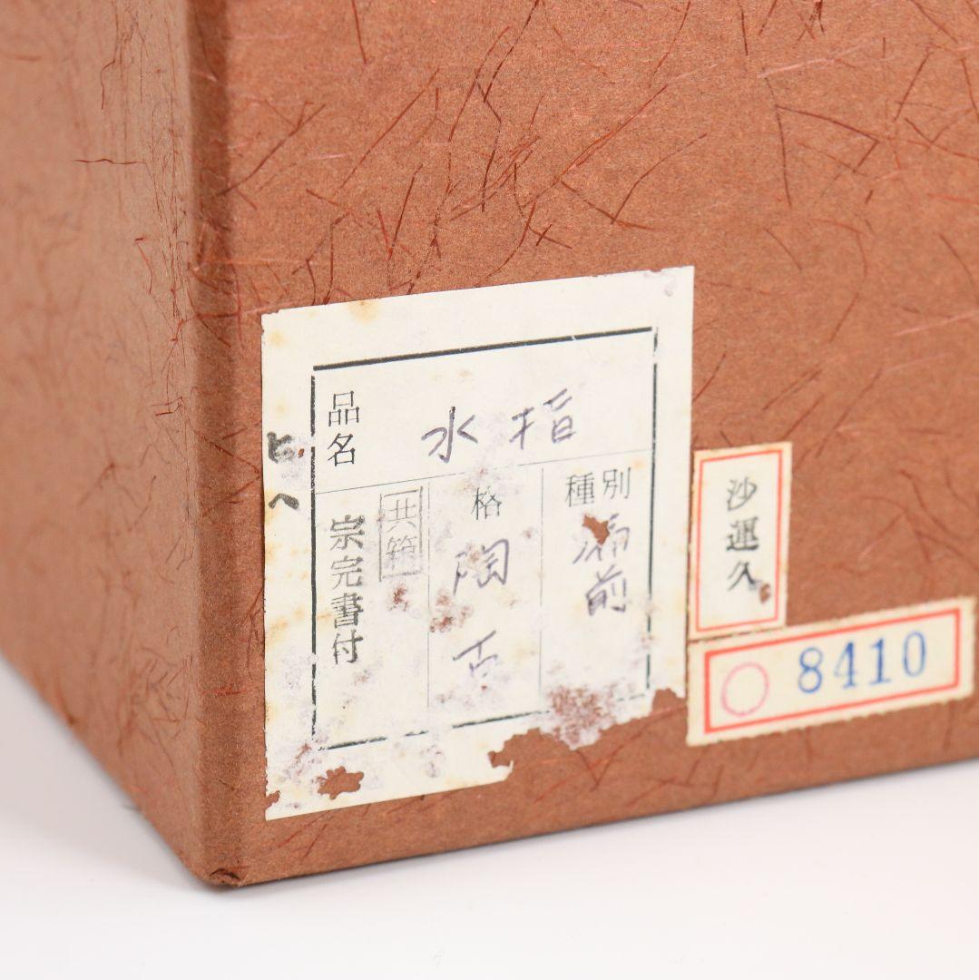 小西陶古作 備前焼 耳付水差 堀内宗完(兼中斎)書付 共箱 茶道具　V883