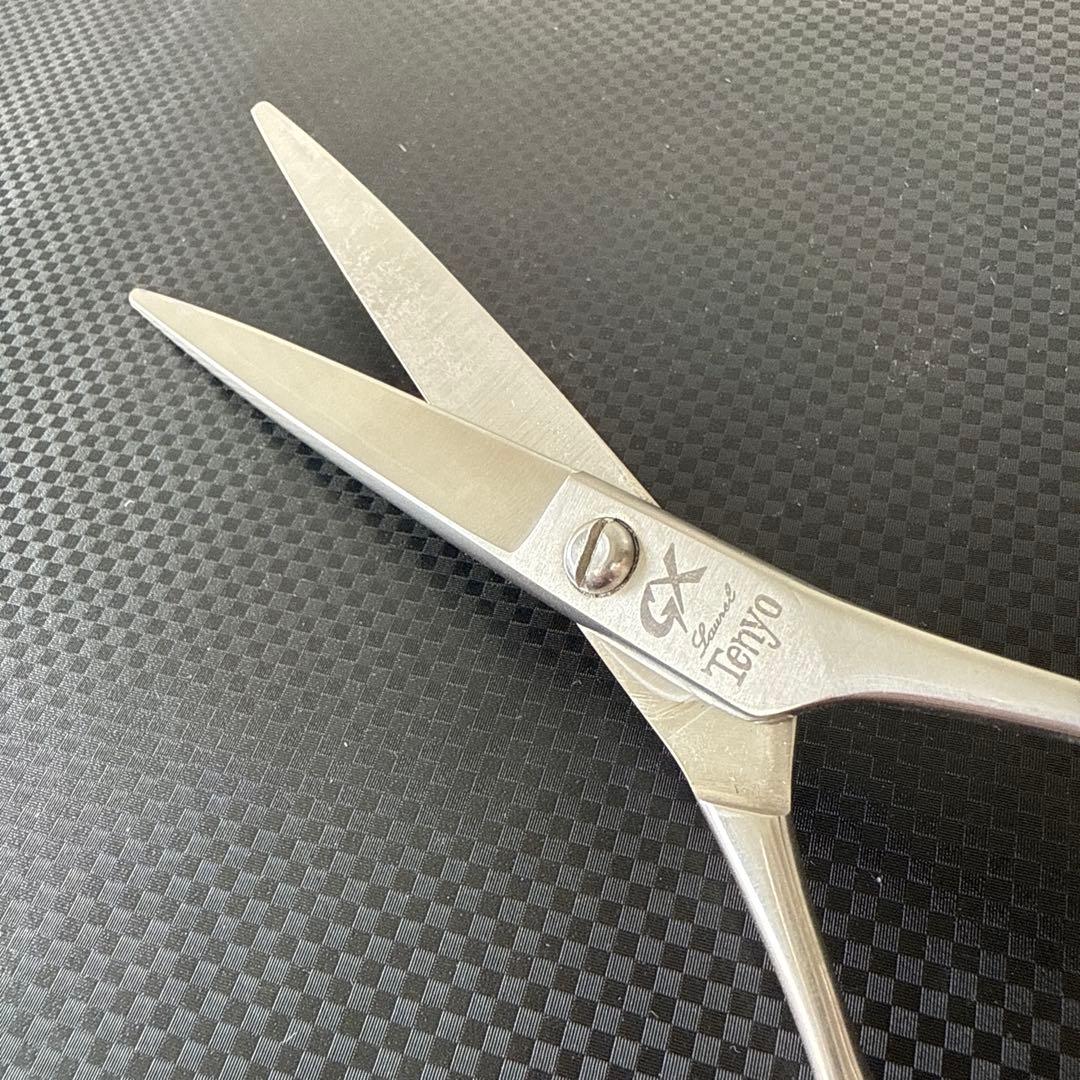 最高級 シザー ハサミ 鋏 Tenyo 天洋GX 美品！
