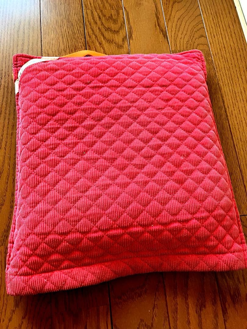 【美品】　セイバン　2024年モデル　水色　天使のはね　MODEL 