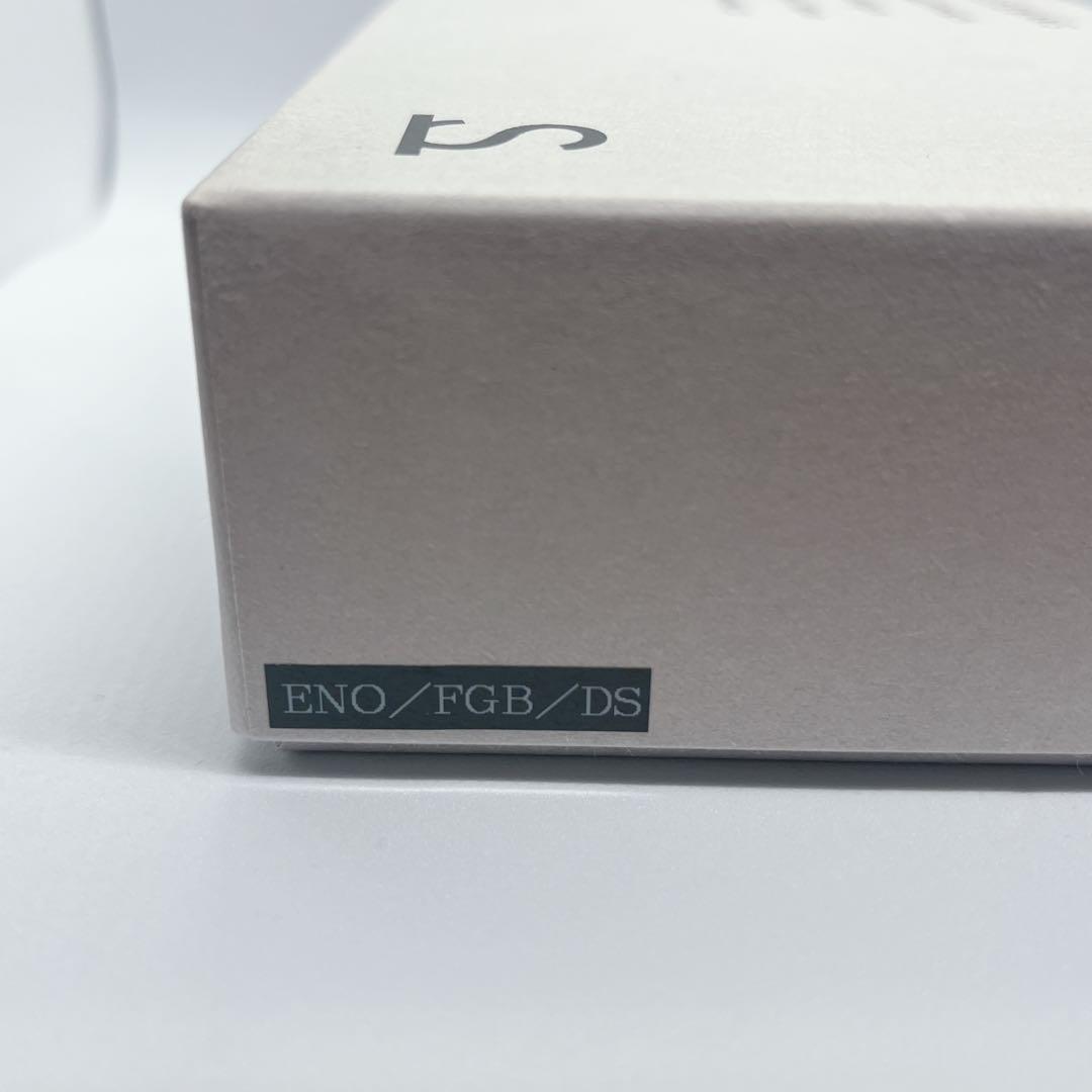 ワイルドスワンズ　イーノ　フルグレインブライドルレザー　ダークステイン