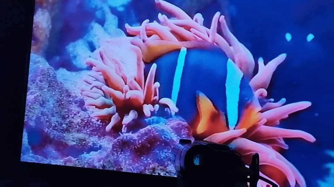 ソニー　8ミリビデオカメラ　Hi8対応 CCD-TR2　ダビング◎