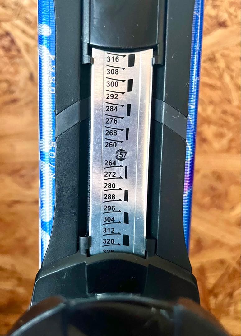 SALOMON スキーセット DEMO XT 162cm ストック付 送料無料！