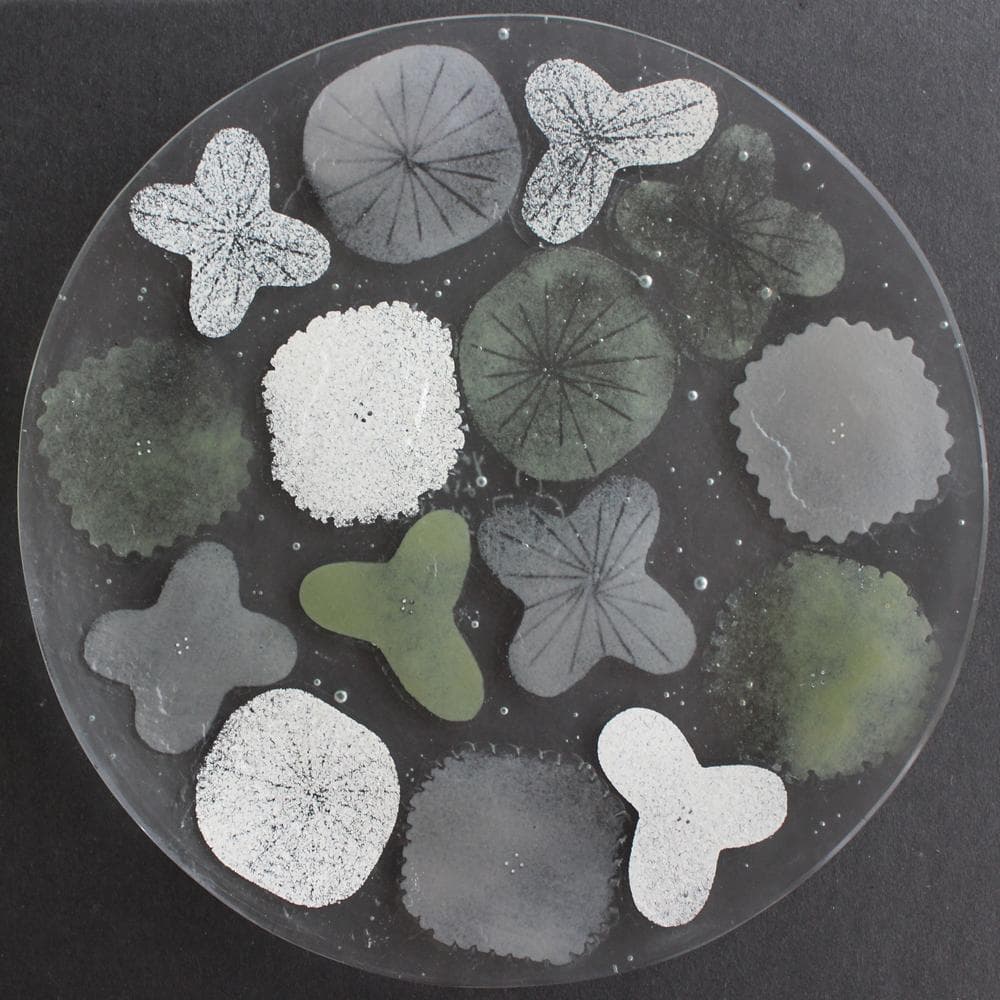 八木麻子 プレート ブーケ bouquet 2枚 & リース wreath 2枚