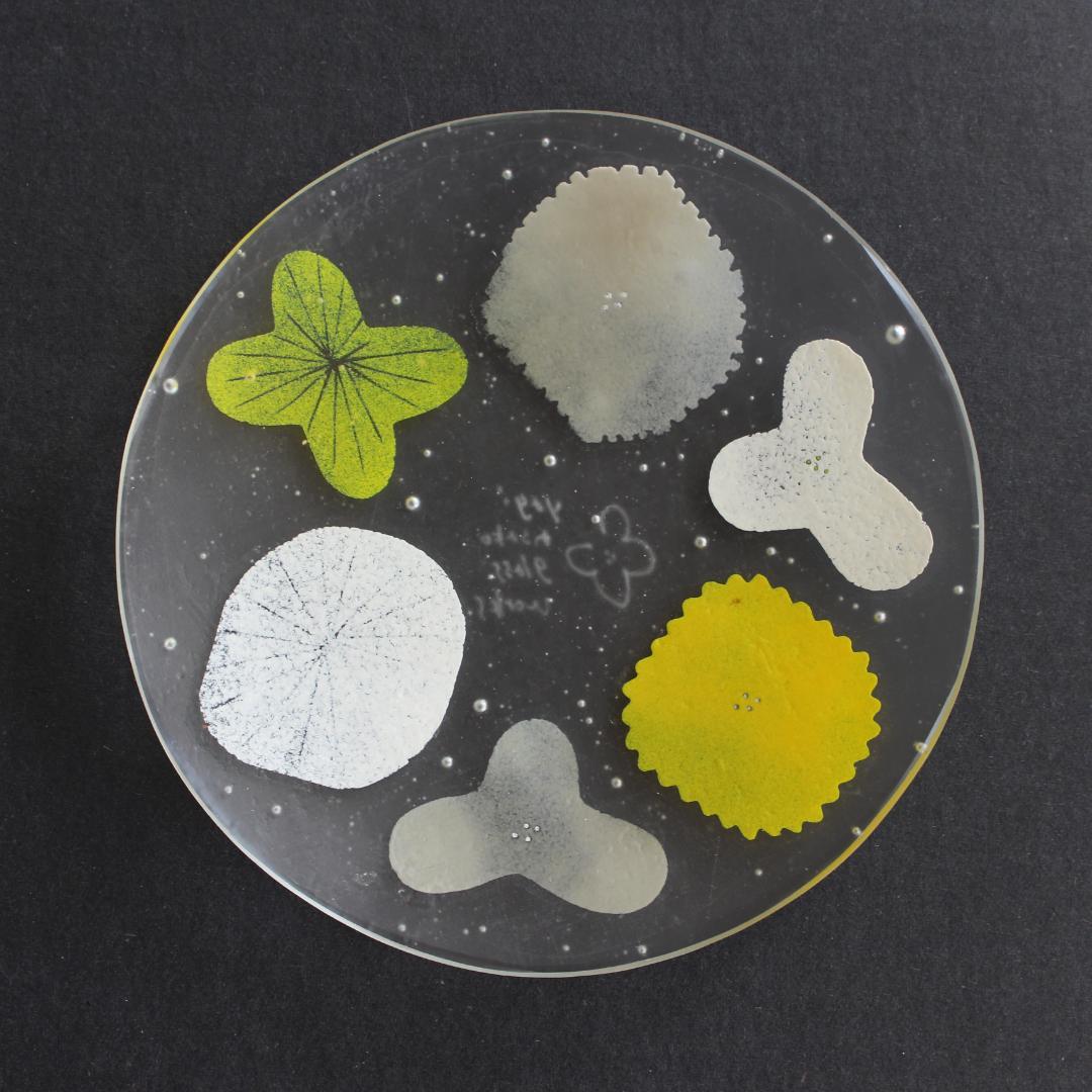 八木麻子 プレート ブーケ bouquet 2枚 & リース wreath 2枚