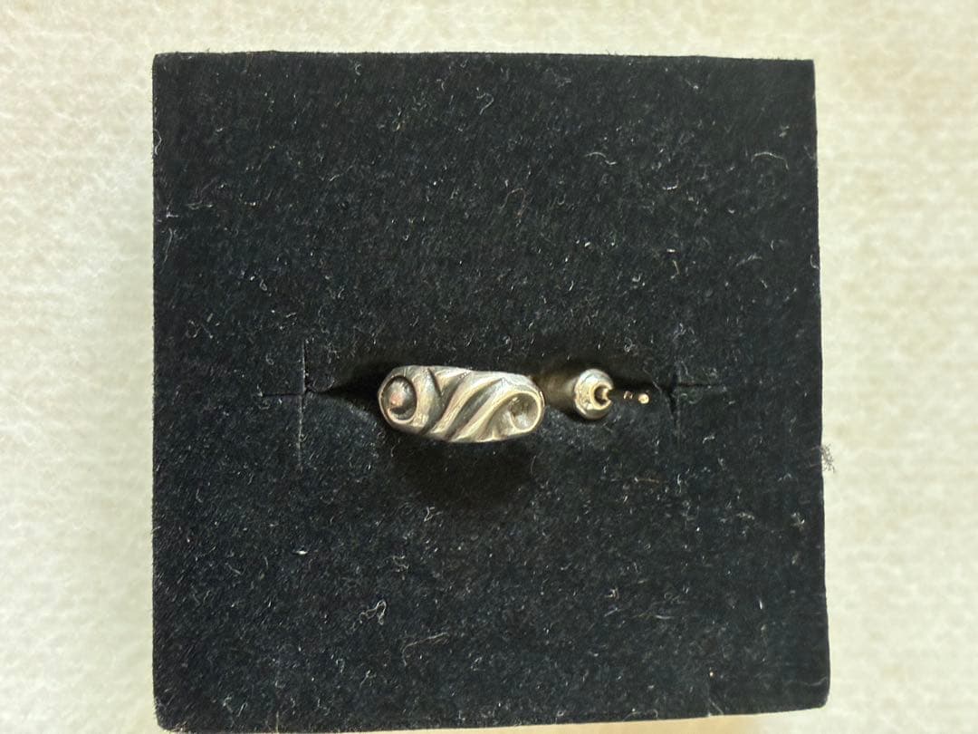 レナードカムホート　レイブンフープピアス