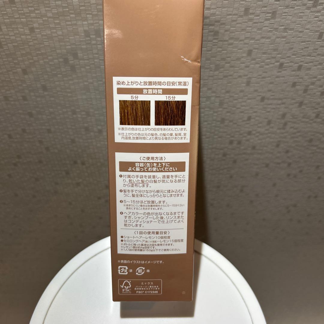 ヘアボーテエクラ ボタニカルエアカラーフォーム EX 150g　２本セット