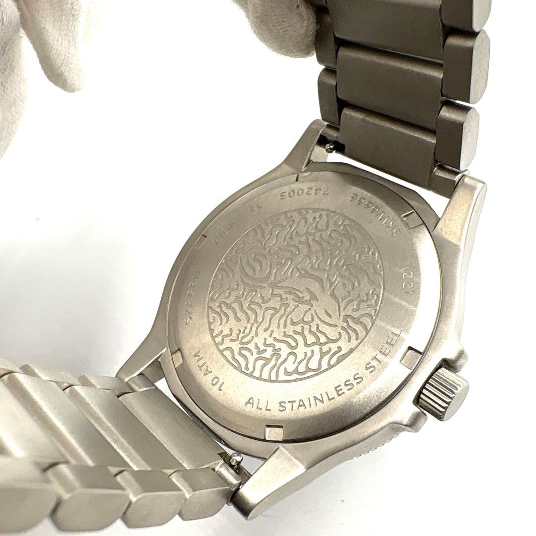 【極美品】SKAGEN スカーゲン ダイバーズウォッチ FISK SKW6666