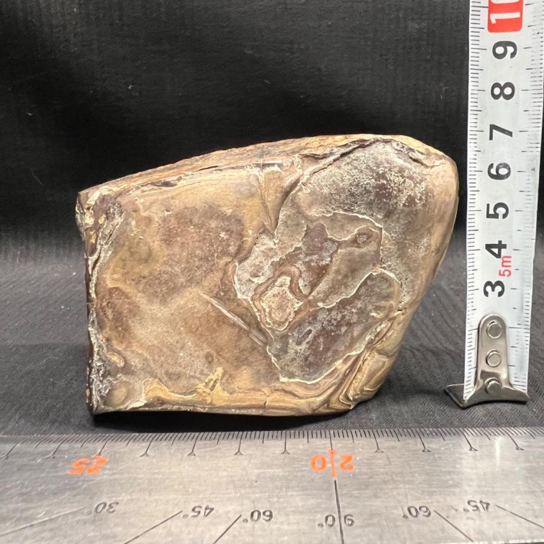 〇※前Da1015 壺石 泉州 飾り石