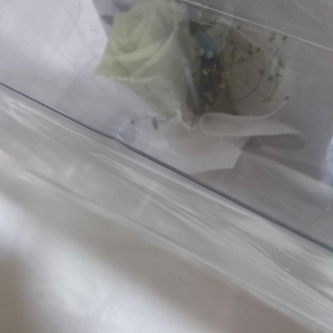 明治東亰恋伽 めいこい 10周年記念 プリザーブドフラワー 春草