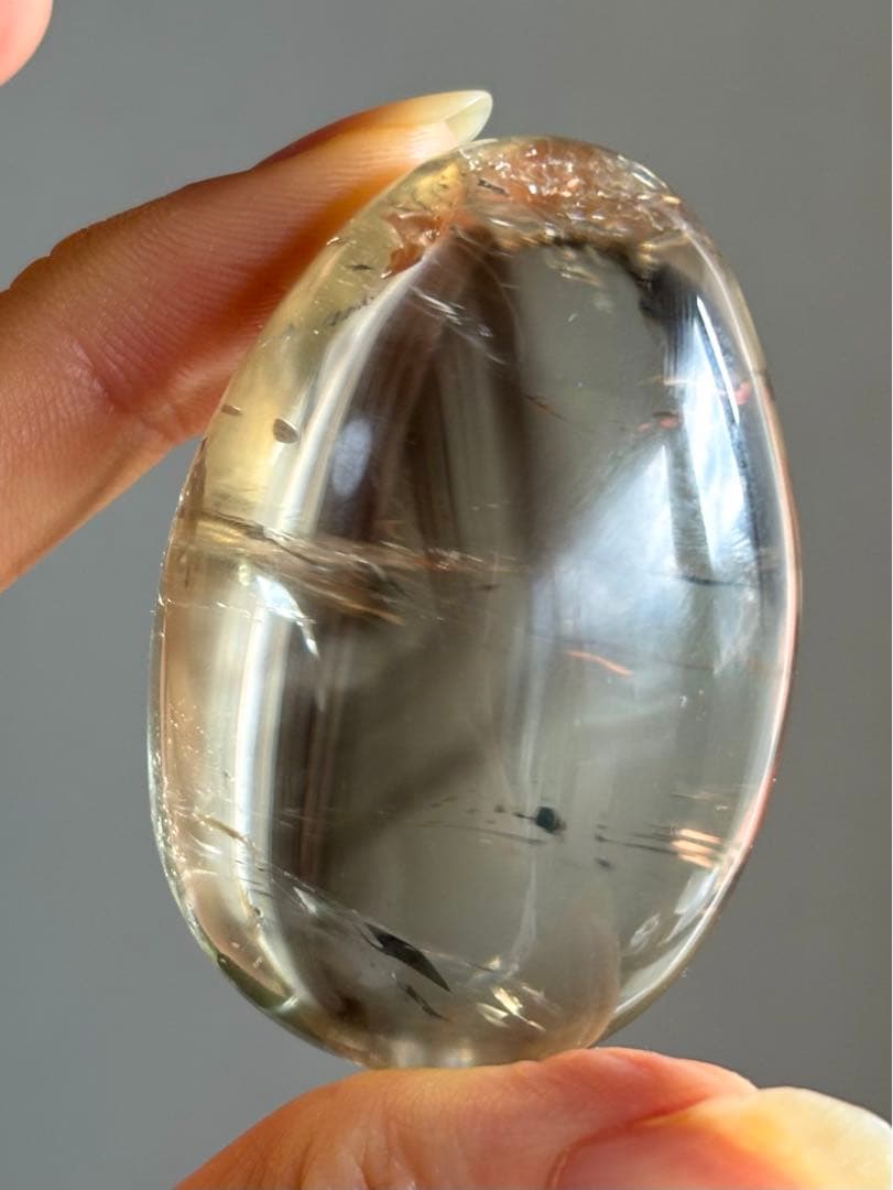 レア　高品質　ファントム　ゼウスシトリン　卵　egg