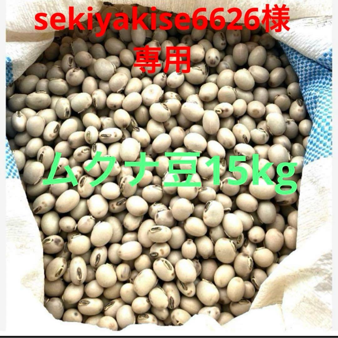 岡山産ムクナ豆15kg専用出品です！