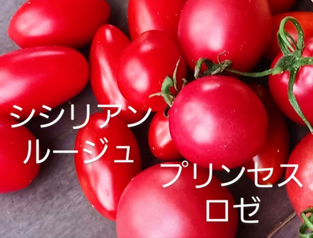 toさん専用　ちばちゃんの安心♡元気なタネと、果樹苗と、野菜たち