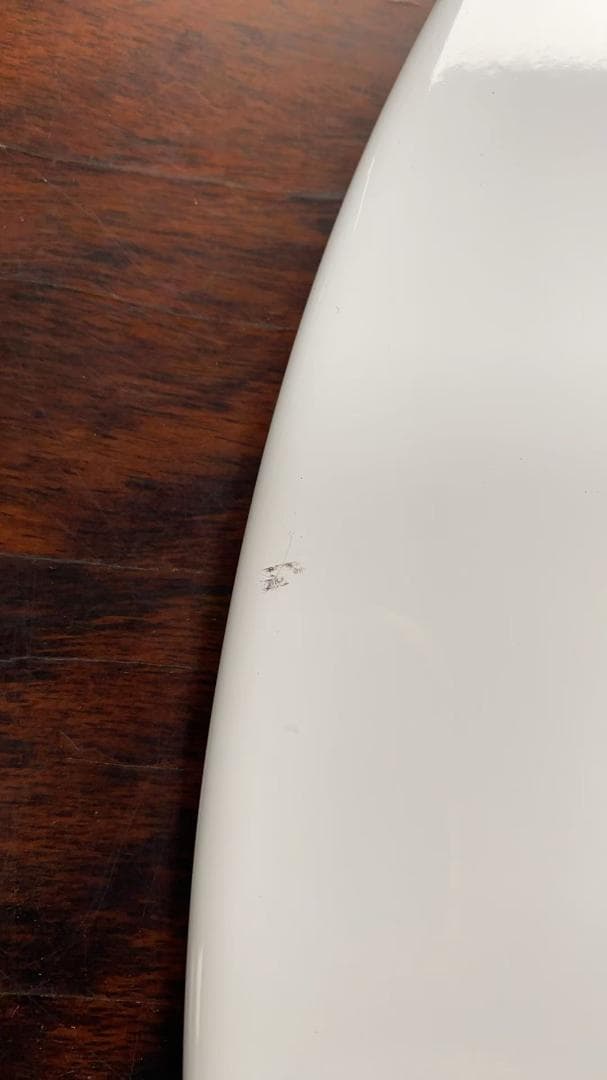 円形ホワイトダイニングテーブル訳あり品　写真をご確認 TBL01-80-03