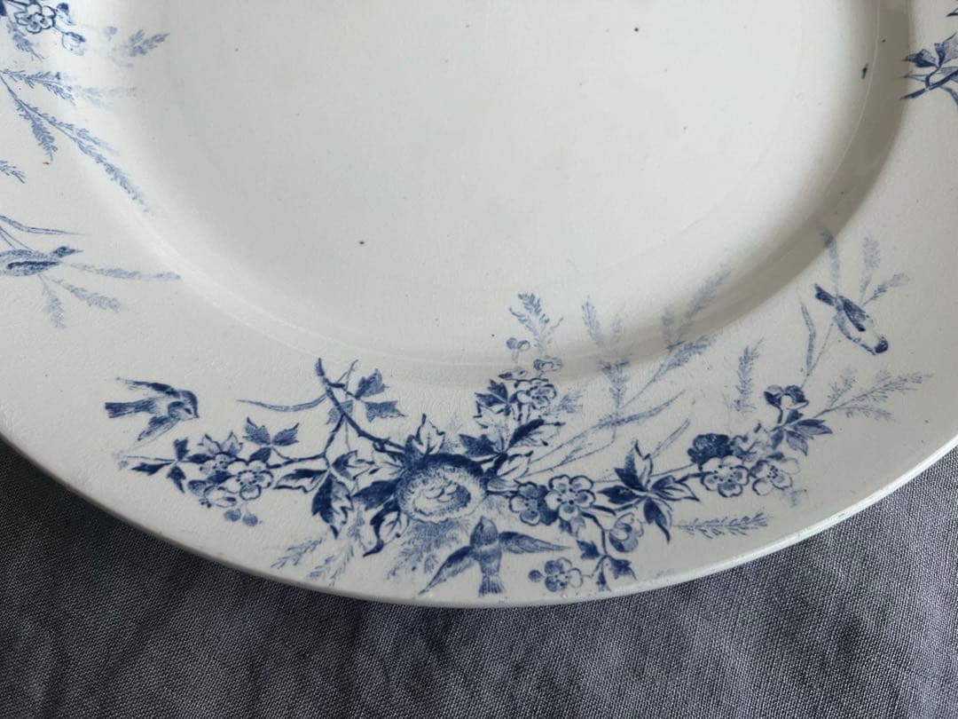 ＊希少＊ 大皿 Creil et Montereau LINOTTE リノット