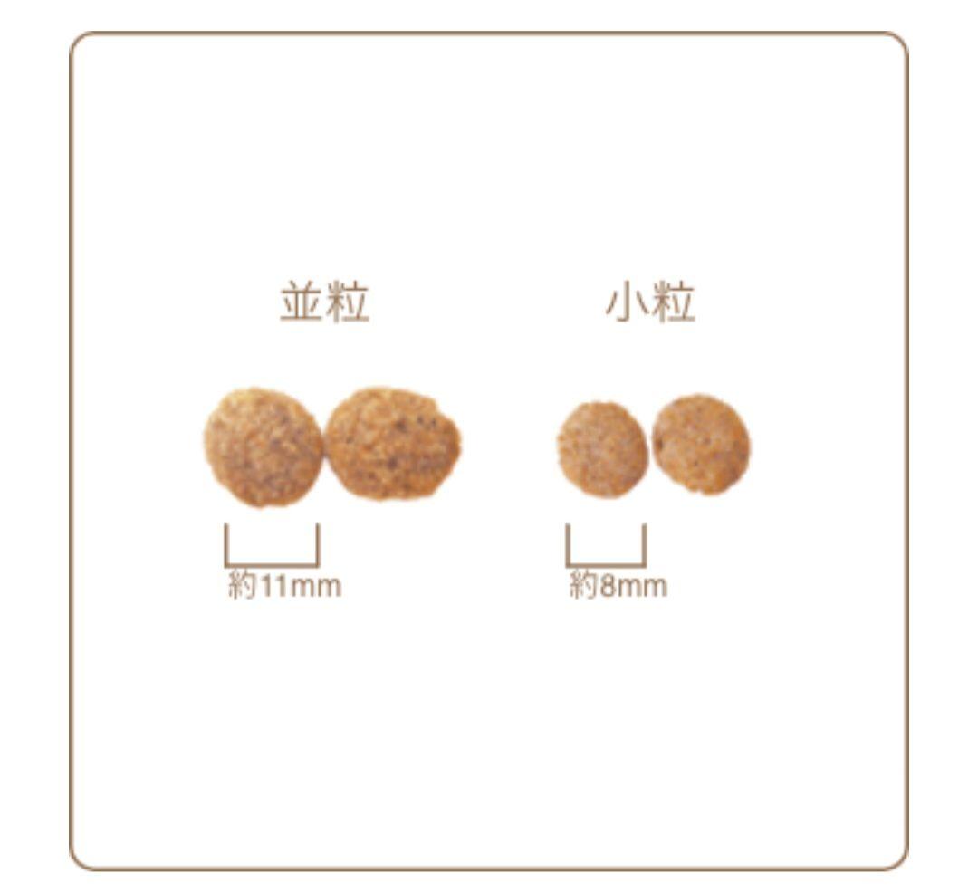 【24時間以内発送】AZ アゼット フィッシュ＆ポテト 10kg