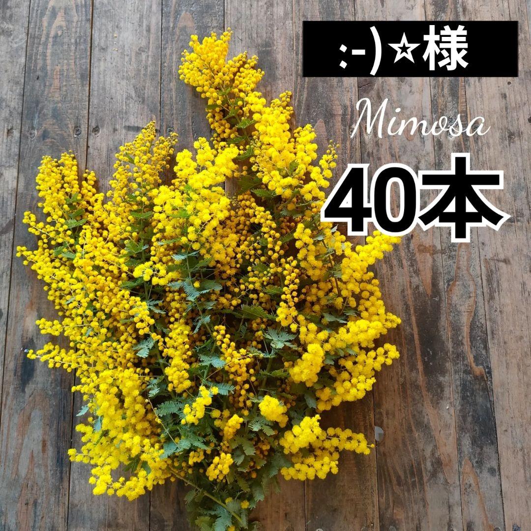 ◯:-)⭐︎ページ