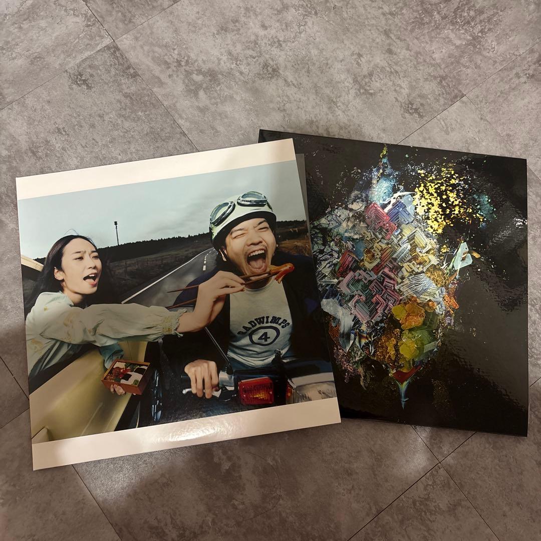 バラ売り⭕️ RADWIMPS レコード おかずのごはん ‪✕‬と〇と罪と