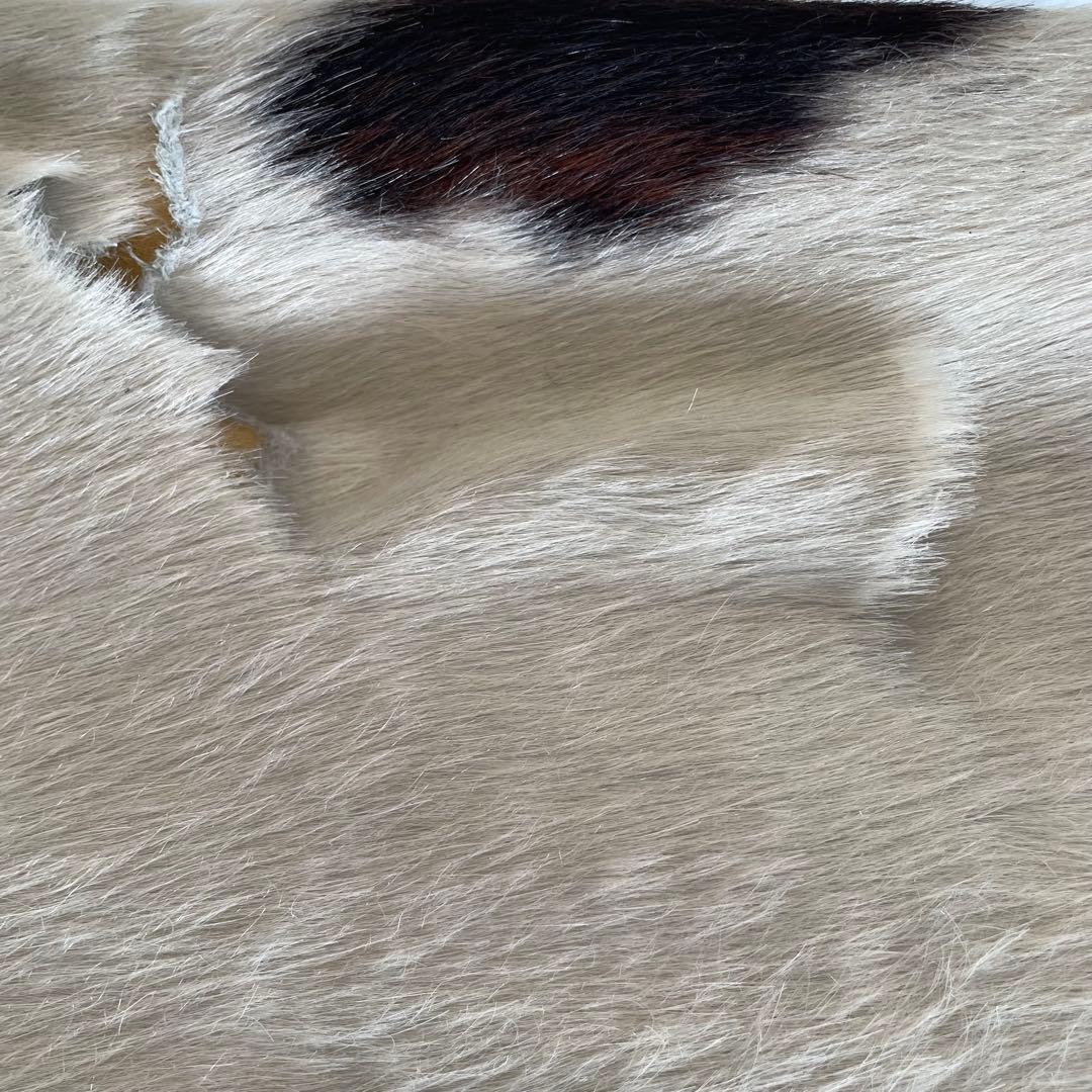 ル・コルビュジエ LC1 スリングチェア（リプロダクト）　1