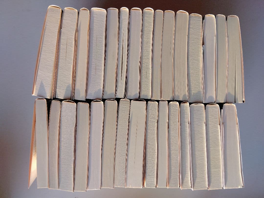 江戸川乱歩 リニューアル版 全30巻セット　春陽文庫