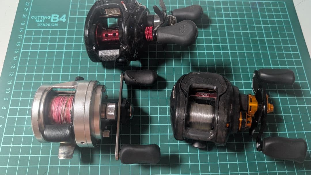 バラ売りなし タトゥーラ T3 カルカッタ