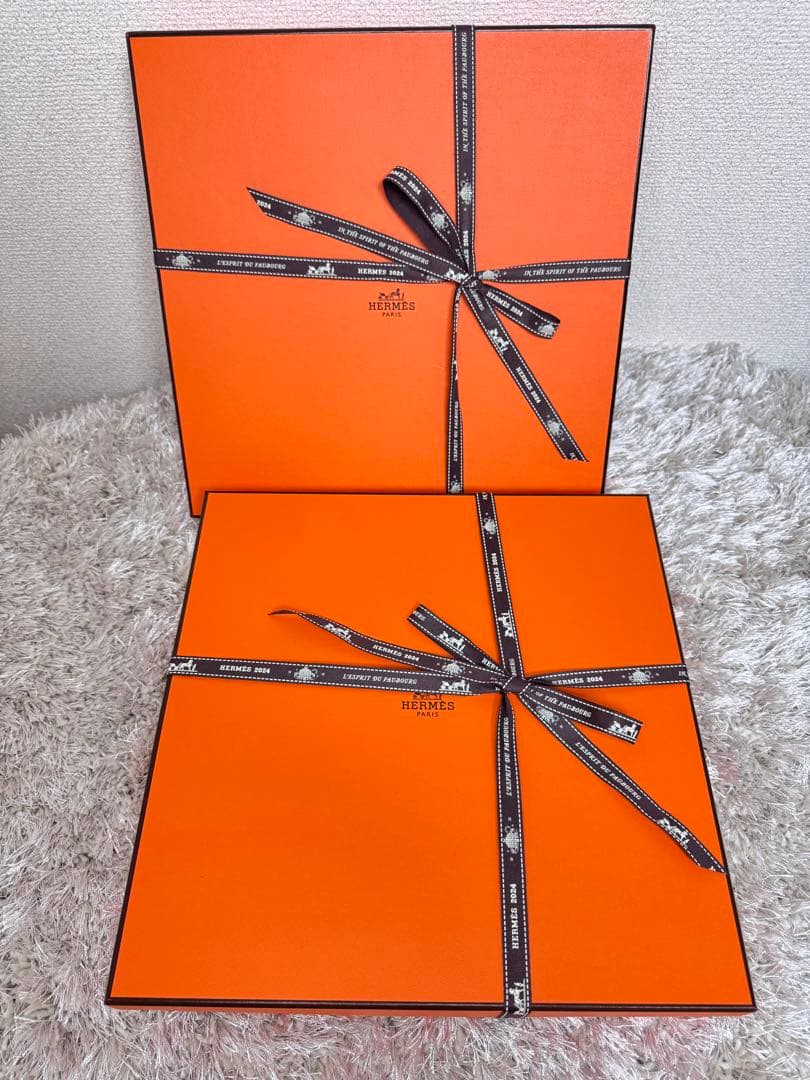 HERMES エルメス ディナープレート No1 〈パシフォリア〉新品2枚セット