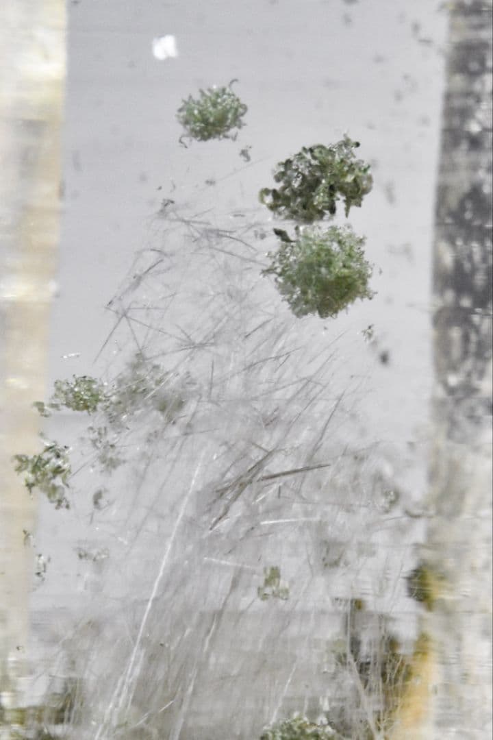 ガネーシュヒマールラパ産 角閃石、クローライト入りタンドリックツイン