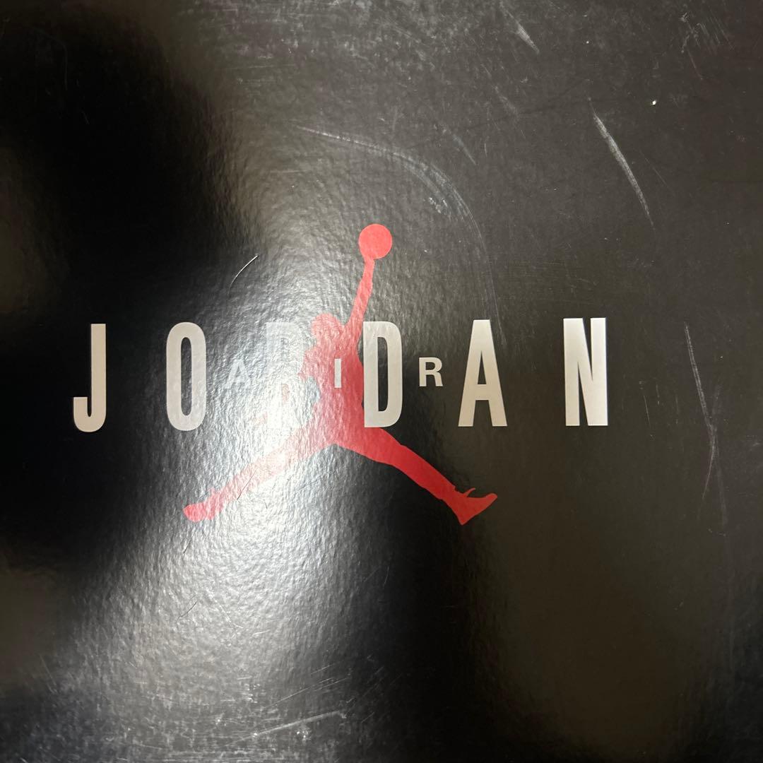 ジョーダン11 low