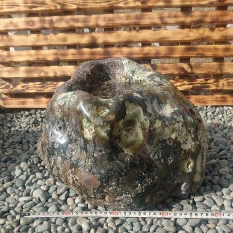 新潟産梅花石蹲 庭石 鑑賞石 置物 オブジェ インテリア 水槽 蹲 盆栽