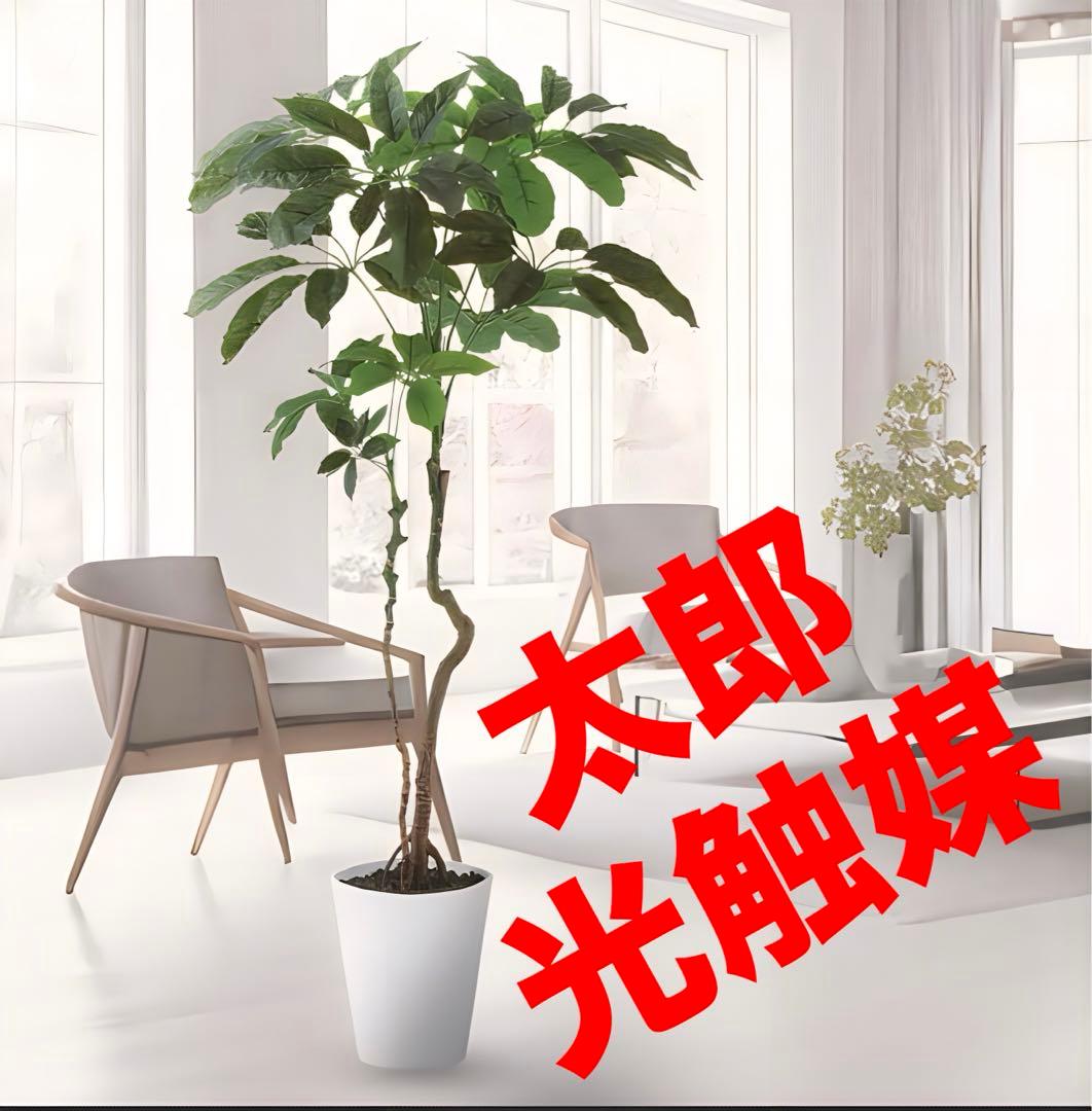 光触媒　人工観葉植物　ウォールグリーン　フェイクグリーン　ブラッサイア170