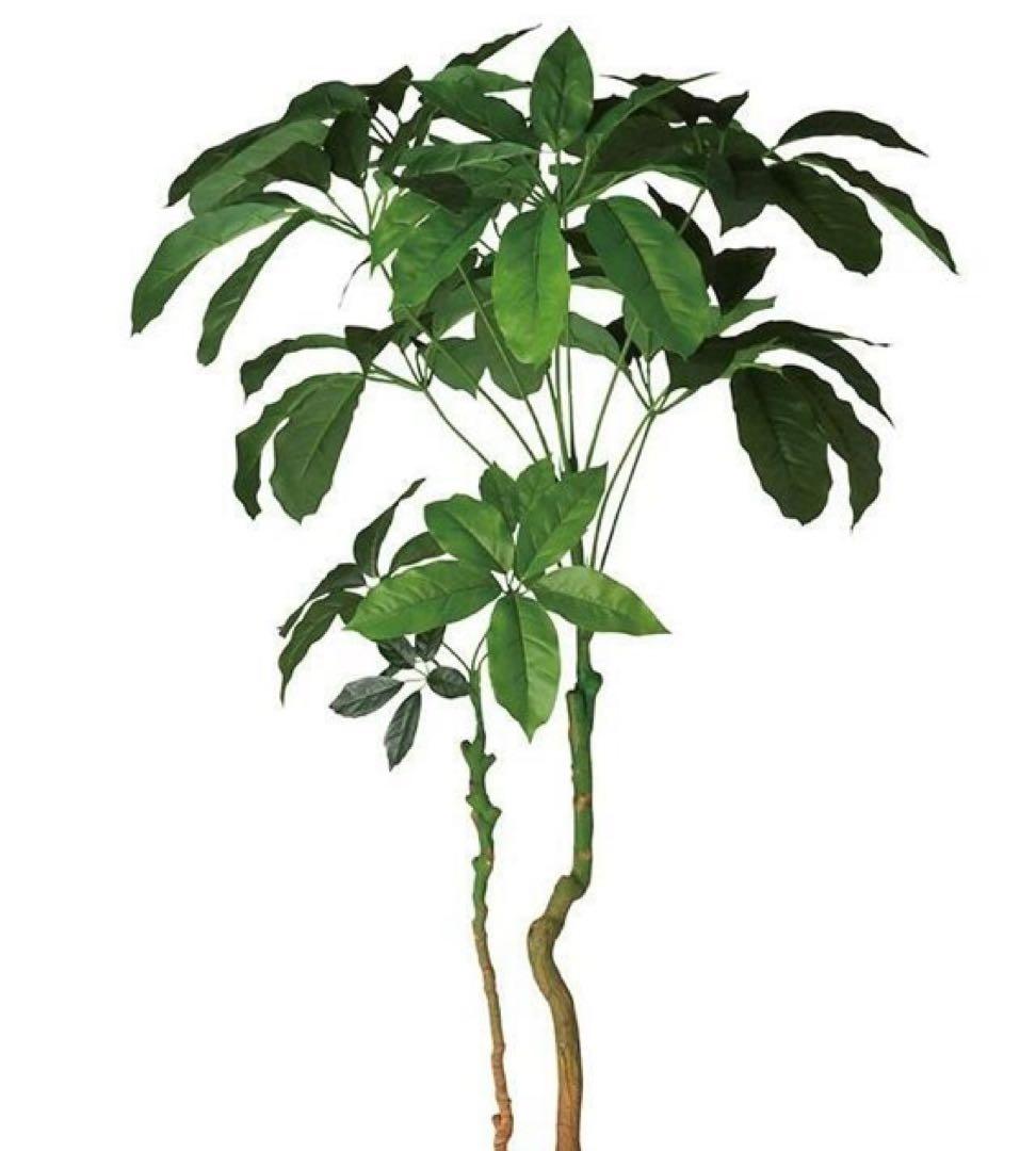 光触媒　人工観葉植物　ウォールグリーン　フェイクグリーン　ブラッサイア170