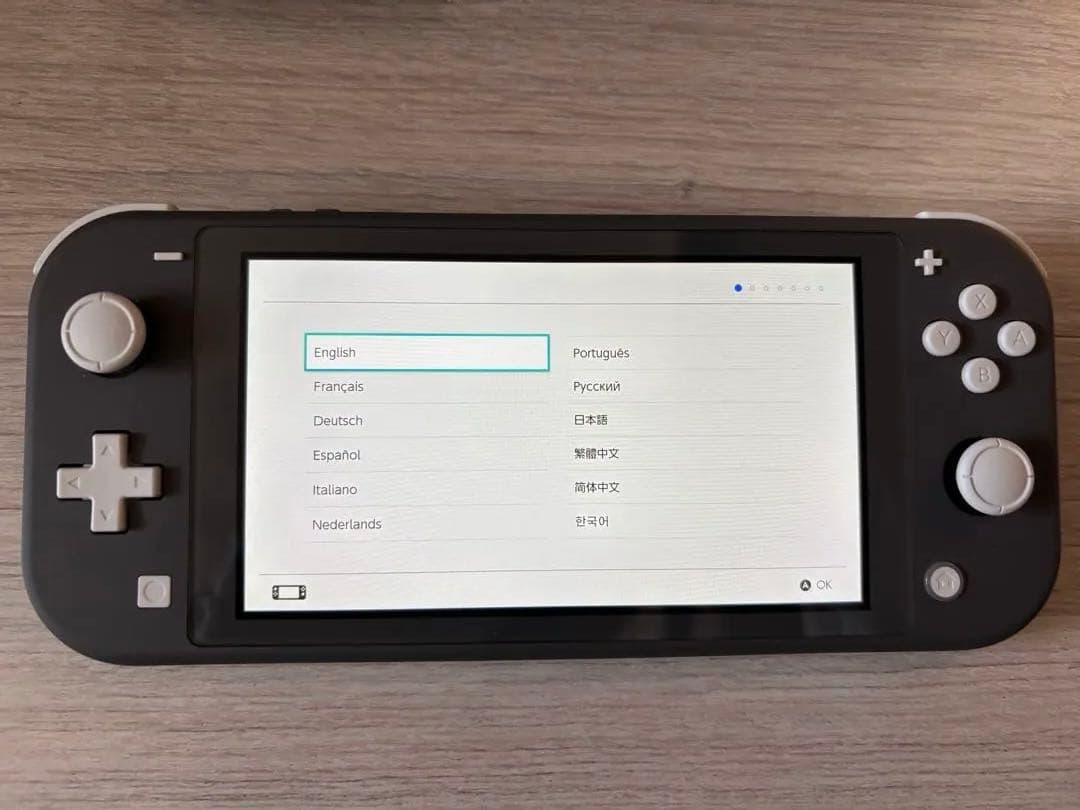Nintendo Switch Lite グレー（充電器付き）