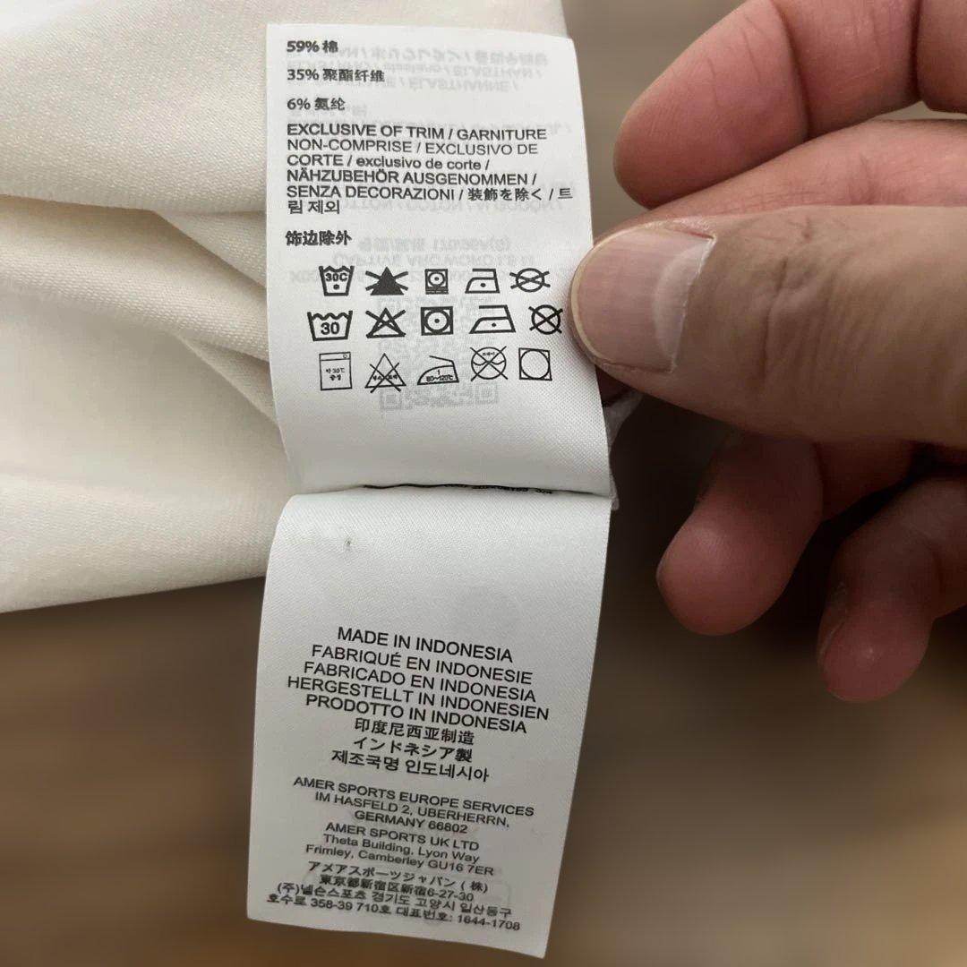 ARC'TERYX 長袖ホワイトCaptive ArcWord LS