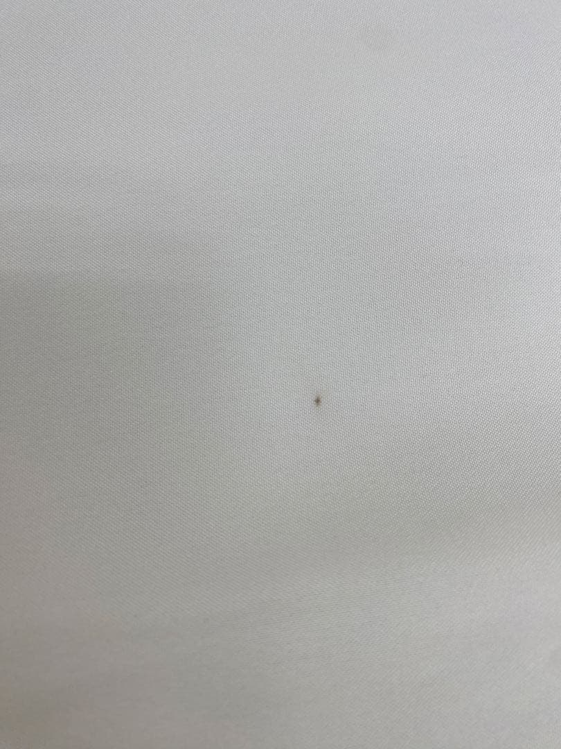 鯉のぼりとスタンドのセット