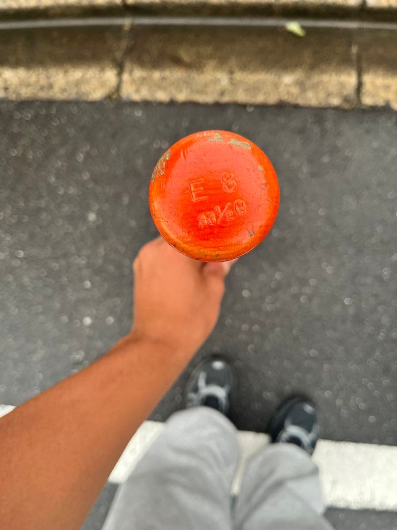 プロエッジ 硬式バット E8