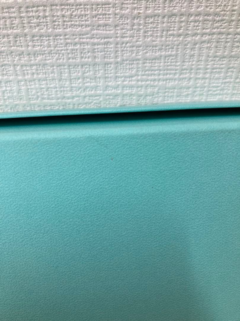 メ12 新品未使用　Tiffany &Co. ブルーボックスプレート