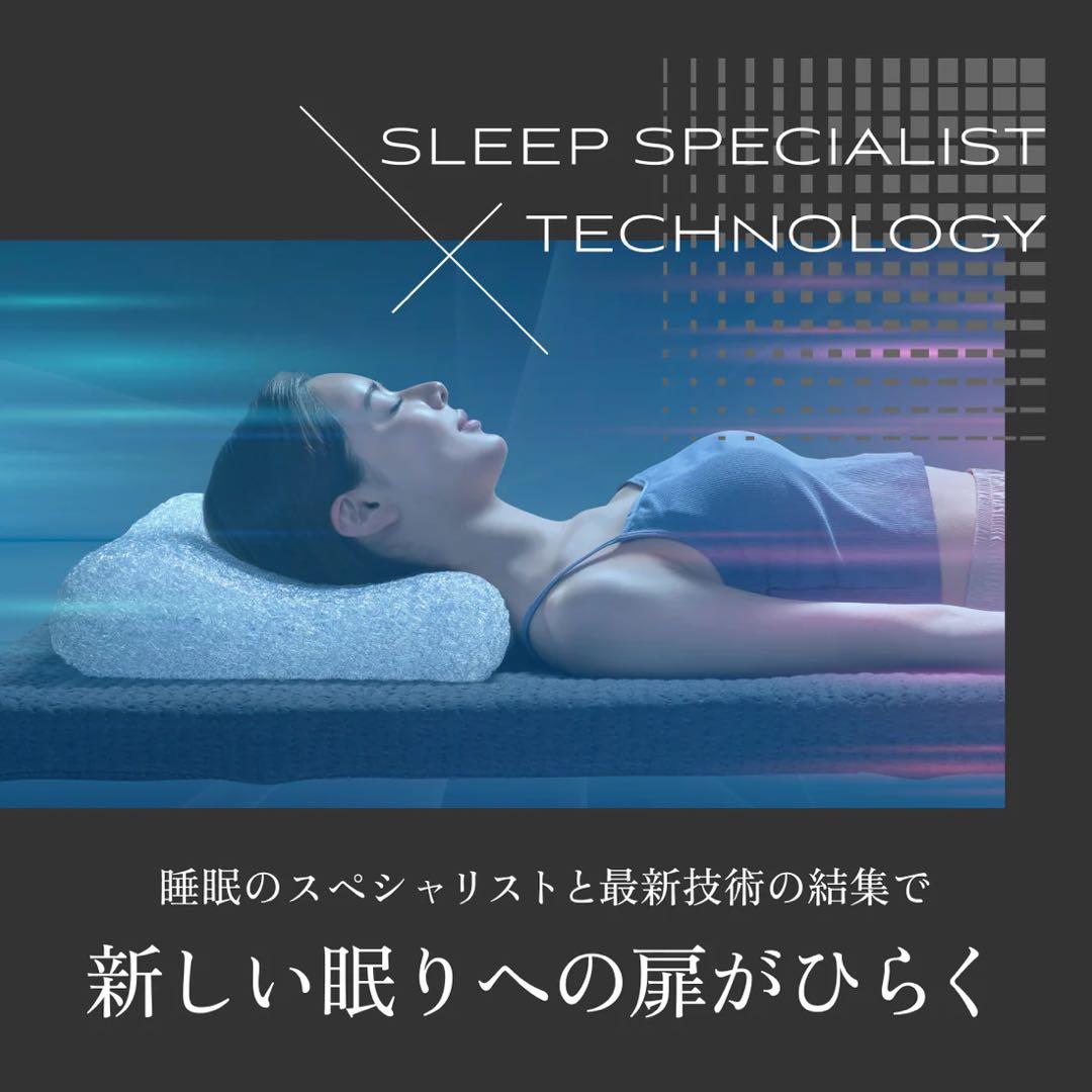 The GOKUMIN AMU FIBER PILLOW マスタースリープ